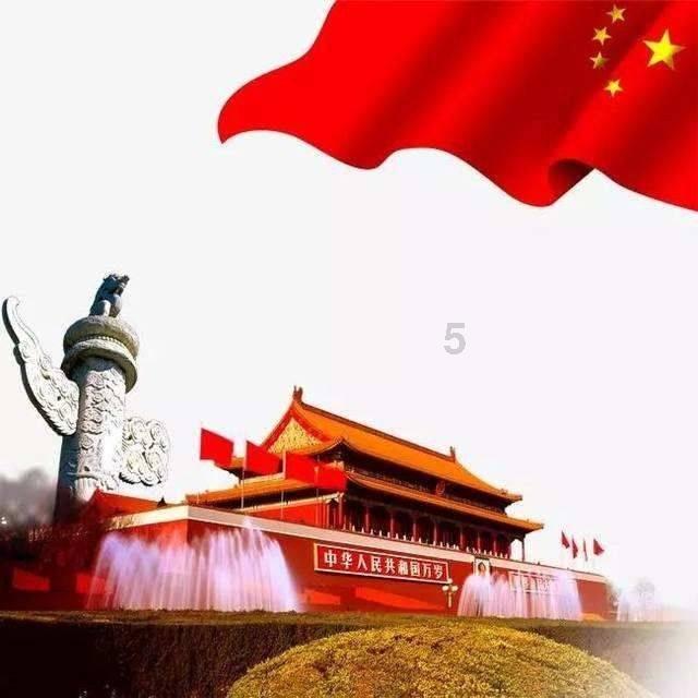 盐和避难所